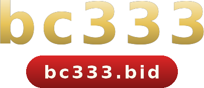 bc333 logo